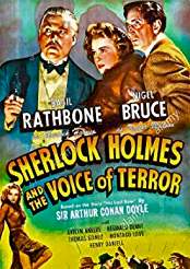 Filmplakat Stimme des Terrors